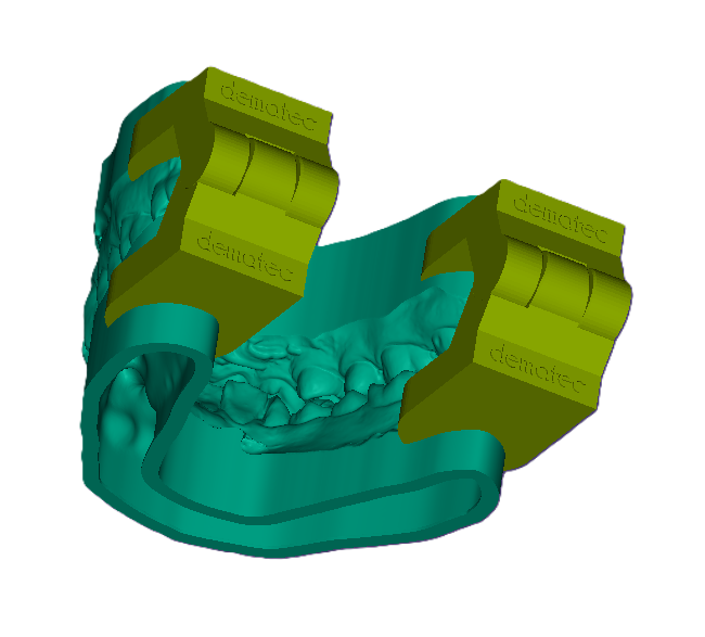 3D Articulated Study Model (42mm)