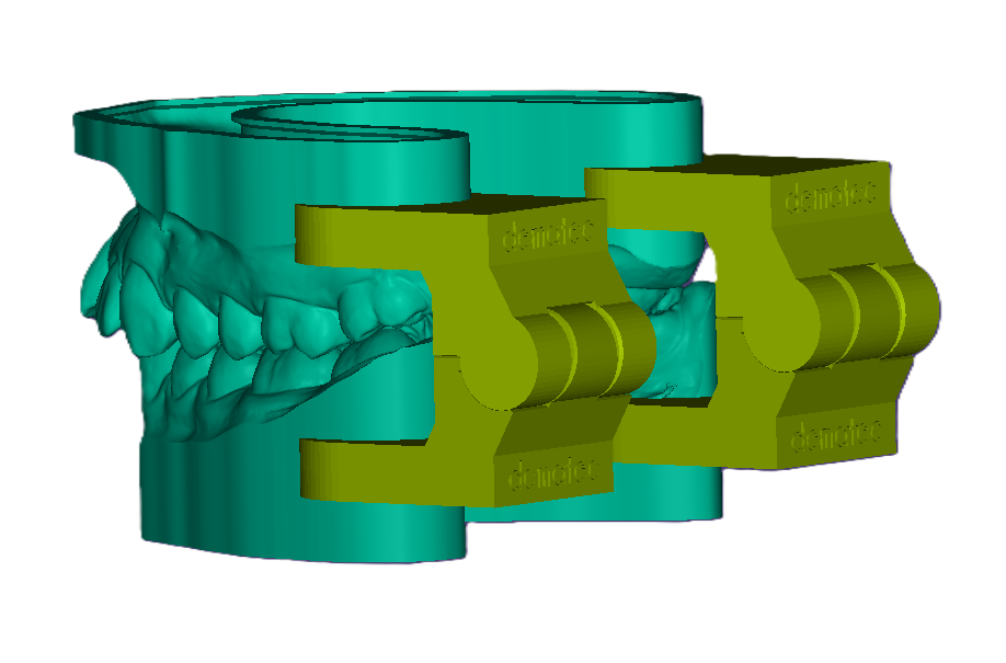 3D Articulated Study Model (42mm)